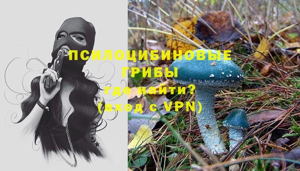 apvp Аркадак
